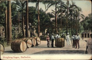 Barbados Native Men Workers Weighing Sugar c1910 Vintage Postcard