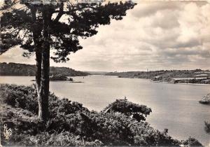 BR8012 L'Ile a Bois vue sur le Trieux et le Phare de Bodic   france