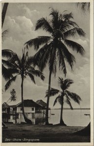 PC SINGAPORE, SEA SHORE VIEW, Vintage Postcard (B42291)