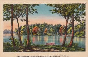 New York Greetings From Lake Ontario Wolcott