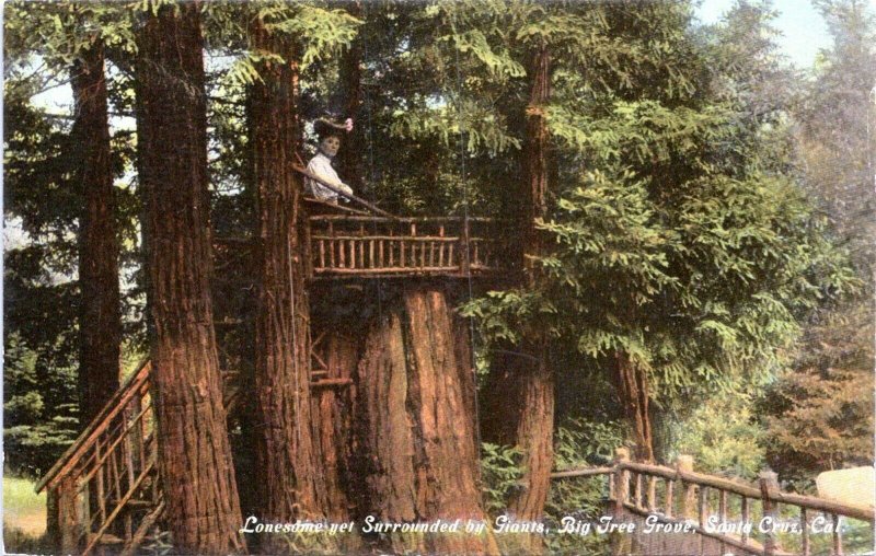 Santa Cruz California Postcard 1910 Big Tree Grove Tree House Woman MQ