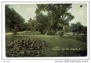 Riverside, City Park, Bridgeton, New Jersey,  00-10s