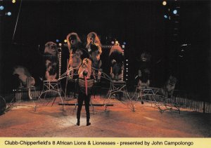 Chipperfield's African Lion Tamer Show Trainer Advertising PB Postcard Photo