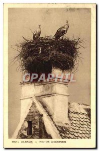 Old Postcard Alsace Storks Nest