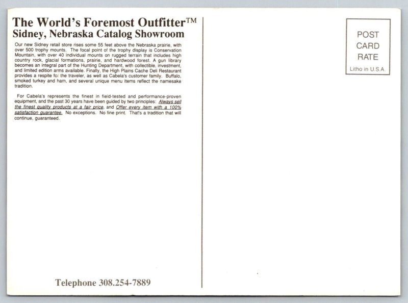 Cabela's  Sidney  Nebraska  Grizzly Bear  Postcard