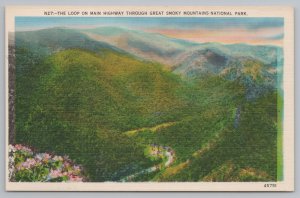 National & State Parks~Air View Loop Main Hwy Great Smoky Mts~Vintage Postcard