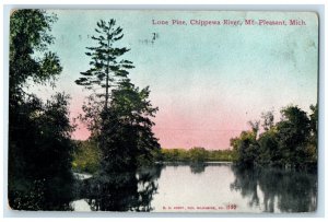 1911 Lone Pine Chippewa River Trees Lake Mt. Pleasant Michigan Vintage Postcard