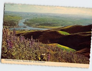 Postcard Banana belt of the Northwest, Clarkston, Washington