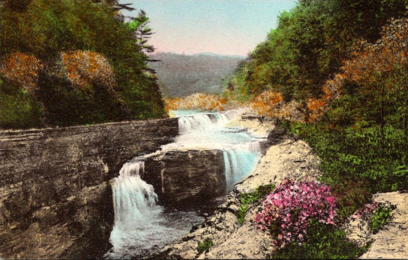 New York Castille Letchworth State Park Lower Falls Handcolored Albertype