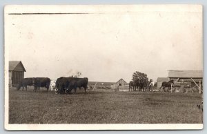 Real Photo Postcard~Farm Buildings~Farmer Checks Horses~Wife Chickens~Cows~c1908