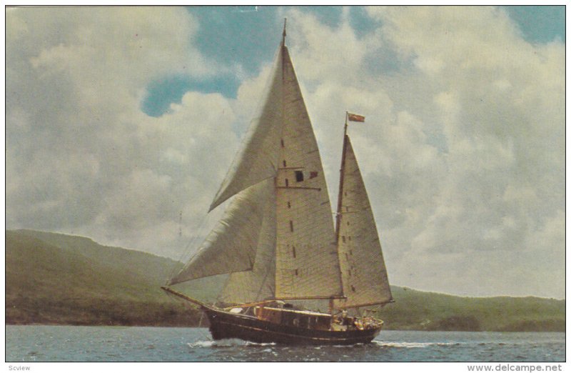 Charter Vessel RING ANDERSON , Leeward & Windward Islands , 50-60s