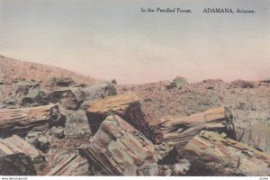 ADAMANA, Arizona, 1920-30s; In the Petrified Forest # 5