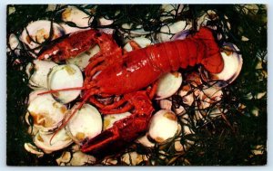 WAREHAM, MA Massachusetts~ The LOBSTER BOWL Restaurant  c1950s Roadside Postcard