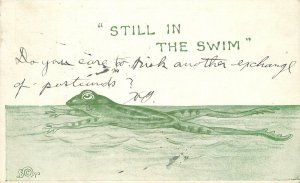 Postcard 1911 frog in the swim comic humor green tint 23-12414