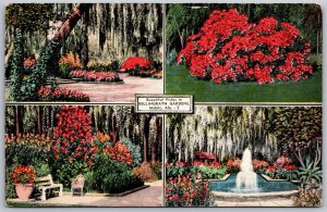 Vtg Mobile AL Bellingrath Gardens Multiview Azaleas Fountain 1930s Postcard