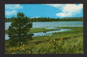 AZ View of Lake Mary near FLAGSTAFF ARIZONA Postcard PC