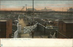 Chicago IL Union Stock Yards TUCK c1905 Postcard