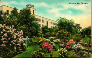 Calart's Rear Garden Providence RI Rhode Island Linen Postcard A4