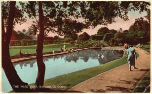 Vintage Postcard 1939 Nature & Wildlife The Ward Park Bangor County Down Ireland