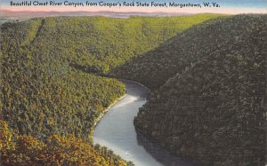 Cheat River Canyon - Morgantown, West Virginia WV  