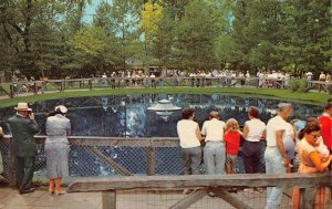 The Blue Hole, Castalia, Ohio Erie County c1950s Chrome Vintage Postcard