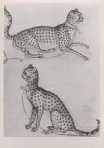 Cheetahs Hunting Leopard Leopards Lion Statue Rare Medieval Mural Art Postcard