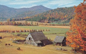 Blueridge Valley Northeast Georgia