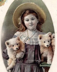 1910 MERRY CHRISTMAS HUSKY PUPPIES DOGS SWEET GIRL FANCY HAT EMBOSSED POSTCARD