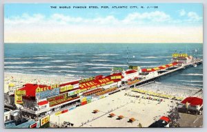 The World-Famous Steel Pier Atlantic City New Jersey Entertainment Area Postcard