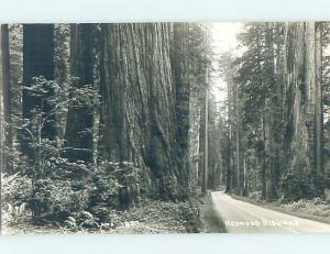 1948 rppc REDWOOD HIGHWAY THROUGH THE TREES Postmarked Crescent City CA HM2456