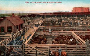 Portland, Oregon - Man on horse by the Union Stock Yards - c1908