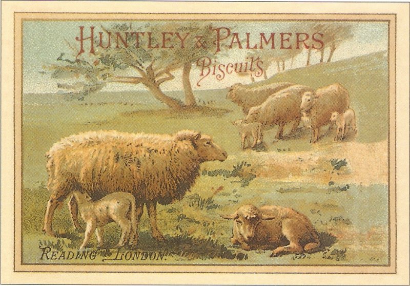 Sheeps pasturing Modern English Huntly & Palmer Biscuits Advertisement PC