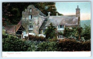 NEWTON ABBOT, Devon, England ~ OLD MILL at OGWELL c1910s Peacock Series Postcard