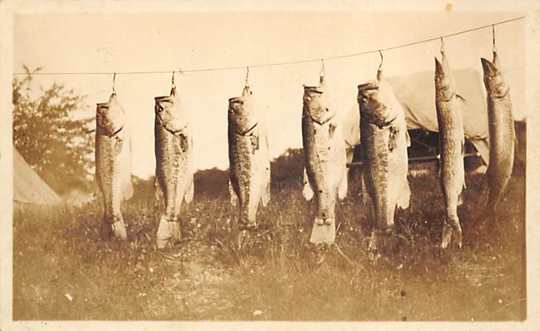 Several Fish Hanging on a String Fishing 1924 