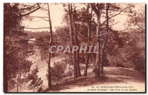 Old Postcard La Baule les Pins In wood & # 39amour pines and dunes