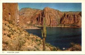 Cactus At Canyyon Lake On The Apache Highway In Arizona