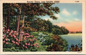 postcard Beauty Scene near Salem, Ohio -River Scene S-396 Curt Teich 5A-H45