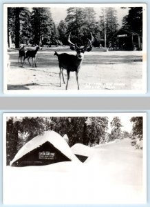 2 RPPC Postcards AZUSA, California CA ~ Summer/Winter CRYSTAL LAKE STORE c1940s