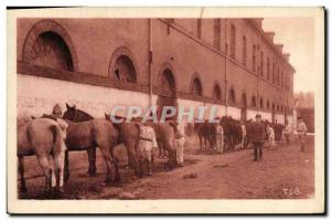 Old Postcard Horse Horses Equestrian Toulouse 117th d & # 39artillerie The gr...