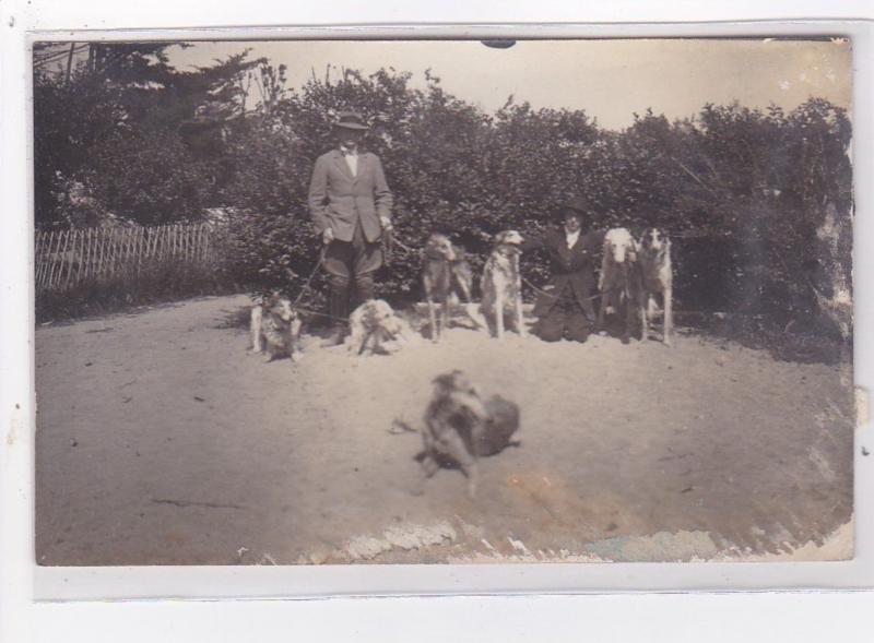 St-CYPRIEN : carte photo chenil du domaine des capeillans dressage chiens dom...