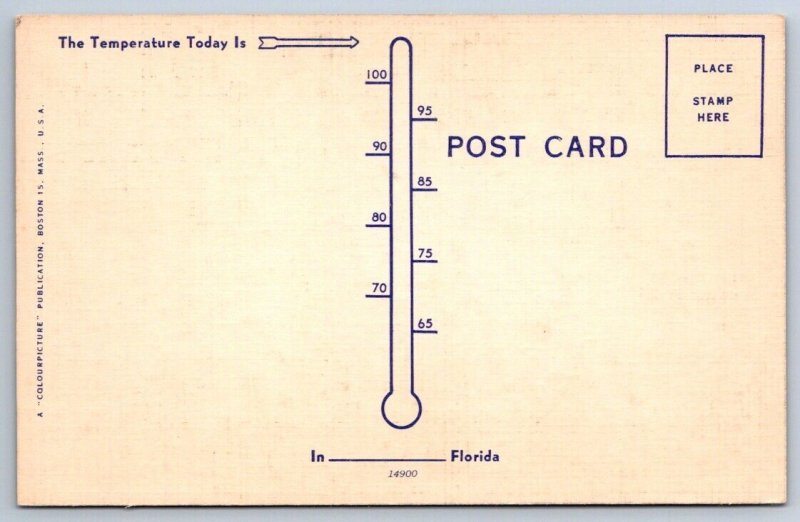 A Glorious Sunset In Florida, Vintage Linen Postcard 