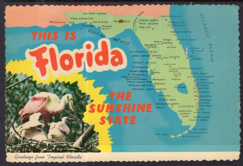 Greetings From Florida Map Florida BIN