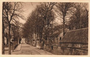 Netherlands Heemstede Voorweg Achter Meer en Bosch Vintage Postcard 04.19