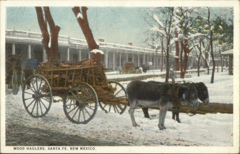 Santa Fe NM Mules Donkeys Hauling Wood Cart in Winter c1920 Postcard