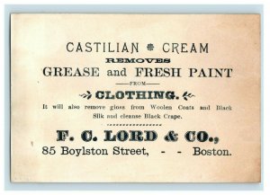 1880's Owl Owls F.C. Lord Castilian Cream Paint Remover Set Of 3 Trade Cards P96
