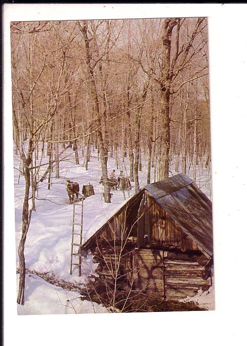 Maple Sugar Bush, Horses, Cabin, Quebec, Canada Post Prestamped Matching