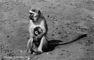 RPPC CAPE TOWN SOUTH AFRICA NEW BORN MONKEY & MOTHER REAL PHOTO POSTCARD