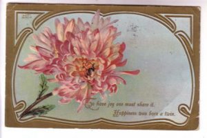 Pink Chrysanthemum, Joy, Happiness Born a Twin, Used 1913, Massachusetts