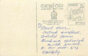 Entier Postal Stationery Postal Sri Lanka Ceylon Lion