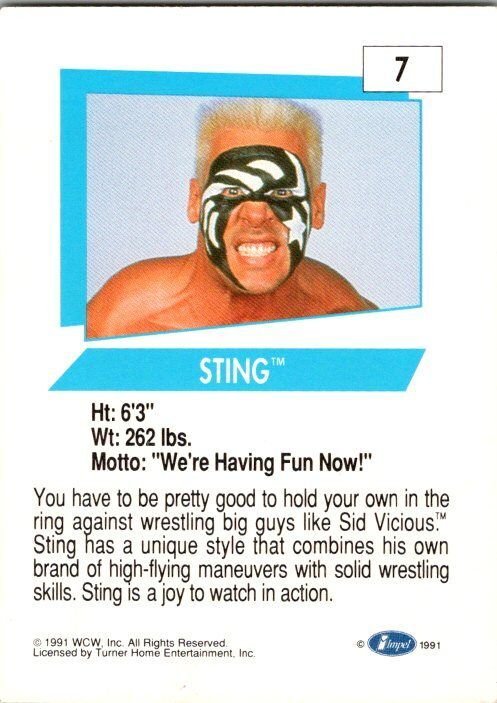 1991 WCW Wrestling Card Sting sk2114